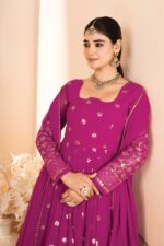 Regal Zari Resham Anarkali Set - Image 4