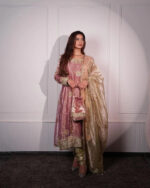 Blush Pink Heritage Zari Suit Set - Image 6