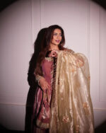 Blush Pink Heritage Zari Suit Set - Image 4