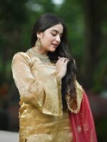 Royal Rani Pink Zari Salwar Set - Image 6