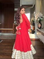 Regal Sindoor Red Zari Anarkali Set - Image 13