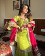 Rani Pink Royal Sharara Set - Image 4
