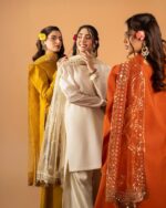 Kiara Luxe Embroidered Kurta Set - Image 3