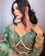 Resham-E-Pista Saree With Designer Blouse - Image 8