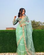 Resham-E-Pista Saree With Designer Blouse - Image 6