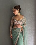 Resham-E-Pista Saree With Designer Blouse
