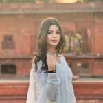 Chandni Mirrorwork Anarkali - Image 2