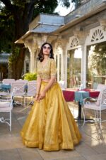 Sunlit Splendor Lehenga Set - Image 2