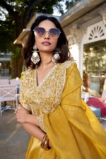 Sunlit Splendor Lehenga Set - Image 4