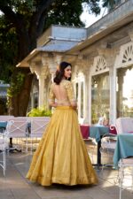 Sunlit Splendor Lehenga Set - Image 3