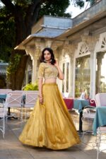 Sunlit Splendor Lehenga Set - Image 6