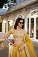 Sunlit Splendor Lehenga Set - Image 5