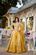 Sunlit Splendor Lehenga Set - Image 7