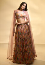Noorani Blush Multi-Colored Embroidered Lehenga Set
