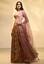Noorani Blush Multi-Colored Embroidered Lehenga Set - Image 4