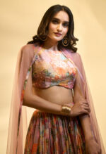 Noorani Blush Multi-Colored Embroidered Lehenga Set - Image 5