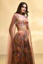 Noorani Blush Multi-Colored Embroidered Lehenga Set - Image 6