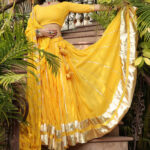 Sunehri Noor  Lehenga Set