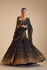 Noir Royale Lehenga Set - Image 6