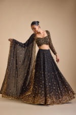 Noir Royale Lehenga Set - Image 4