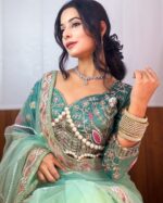 Resham-E-Pista Saree With Designer Blouse - Image 7