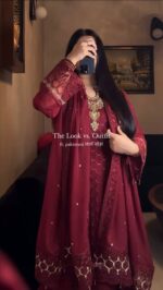 Radiant Red Eid Special Suit Set - Image 5