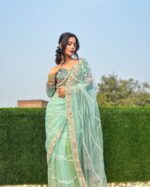 Resham-E-Pista Saree With Designer Blouse - Image 4