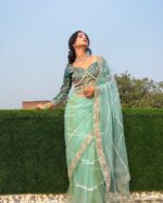 Resham-E-Pista Saree With Designer Blouse - Image 5