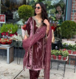 Premium Luxnetics Winter Wear Velvet Suit - Image 2