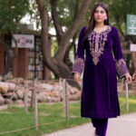 Luxnetics Neck Embroidery work Velvet Suit