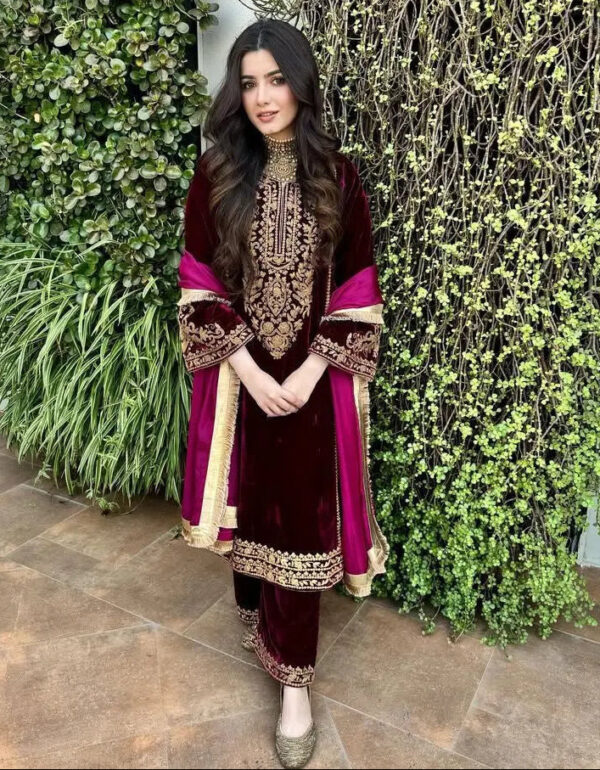 Luxnetics Elegant Thread Embroidery work Ready to wear Velvet Suit