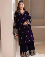 Sequence Embroidery work Winter Wear Velvet Suit - Image 2