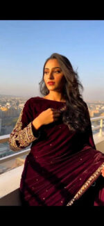 Luxnetics  Party Wear Velvet Saree - Image 4