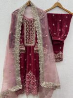 Sequence Moti work Party wear Velvet Suit (Stitched) - Image 3