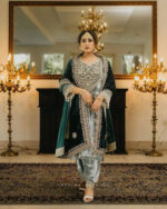 Thread Embroidery work Winter Velvet Suit (Stitched)