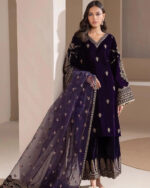 Sequence Embroidery work Winter Wear Velvet Suit