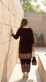 Gulnaar Velvet Embroidered Suit Set - Image 4