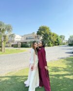 Roya Wine Silk Farshi Suit - Image 7